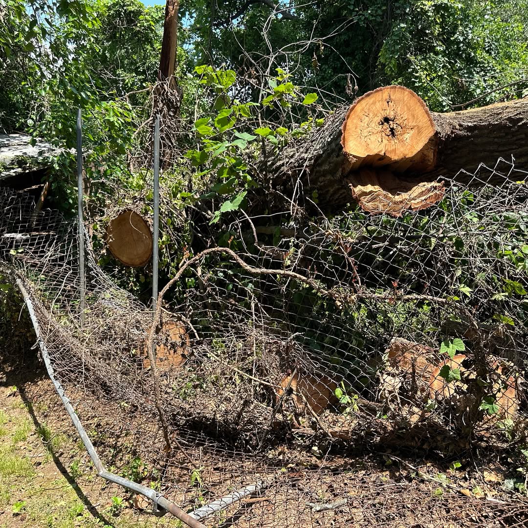 Bladensburg, MD restoration photo 1