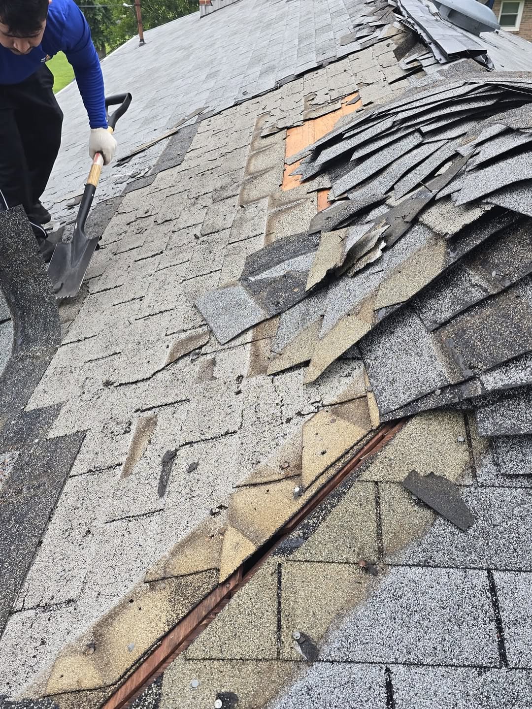 Clinton, MD restoration photo 10